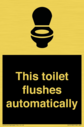 this-toilet-flushes-automatically~